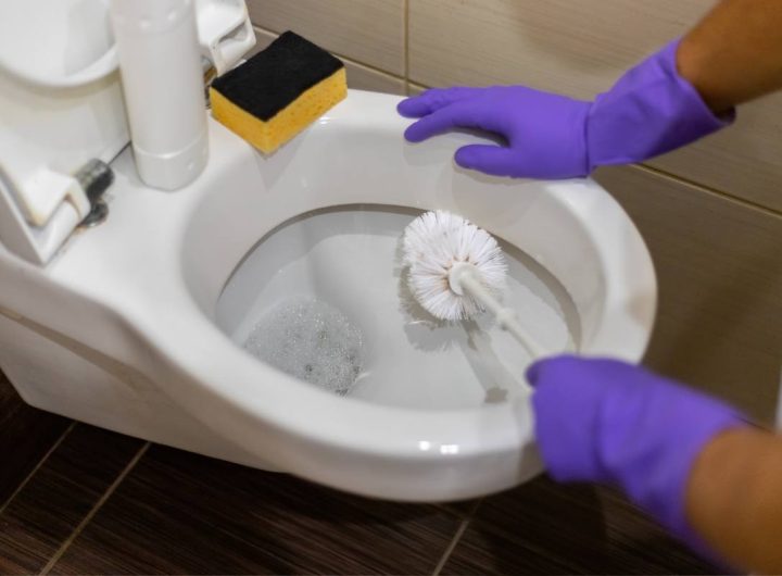 pulizia wc dal fondo nero come toglierlo